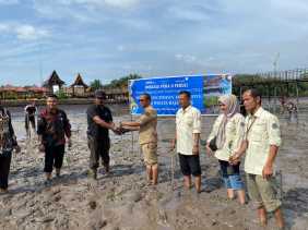 Cegah Abrasi Pantai, Angkasa Pura II Pekanbaru Tanam Ribuan Bibit Mangrove di Bengkalis