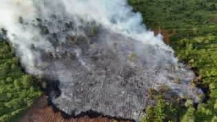 Empat Hektare Lahan Gambut di Kawasan Industri Tanjung Buton Siak Kembali Terbakar