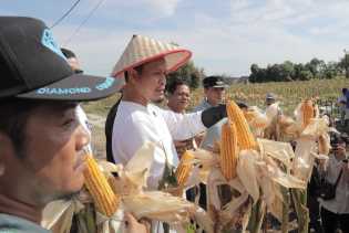 100 Hari Agung-Markarius, Dari Tarif Parkir Turun hingga Atasi Banjir di Pekanbaru
