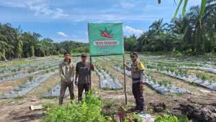 Asta Cita di Rokan Hilir, Polisi Turun ke Sawah Bina Petani