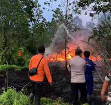 Lahan Terbakar Meluas, BPBD Pekanbaru Tingkatan Pengawasan