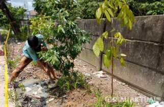 Wali Kota Pekanbaru Tindak Tegas TPS Liar dan Lanjutkan dengan Aksi Penghijauan