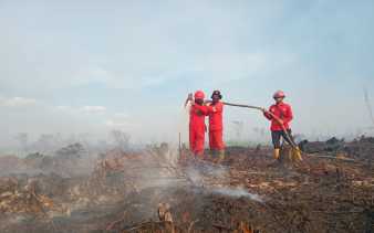 20 Hektare Lahan Terbakar di Rohil, Sudah Sepekan Api Belum Padam